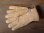 画像2: Lambert Lined Leather Glove Made in USA Ivory Small (2)