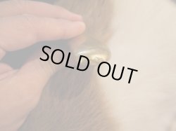 画像6: TIFFANY NYC BEANS OIL LIGHTER BRASS