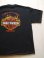 画像2: HARLEYDAVIDSON CABO SAN LUCAS MEXICO OFFICIAL VTG T-SHIRT BLACK XL