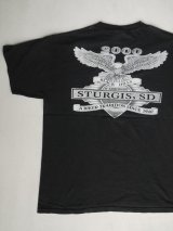 BLACK HILLS STURGIS,SD VTG T-SHIRT BLACK L