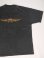 画像1: HARLEY DAVIDSON THUNDER MOUNTAIN OFFICIAL VTG T-SHIRT BLACK XXL (1)