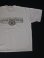 画像2: HARLEY DAVIDSON CAROLINA GASTONIA,N.C. OFFICIAL VTG T-SHIRT BEIGE XL