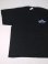 画像4: CORONA BEACH CLUB T-SHIRT BLACK L