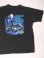 画像1: 1995 HARLEY DAVIDSON LEGENDS LIVE WHERE LEGENDS ROAM OFFICIAL T-SHIRT BLACK XL  (1)