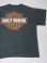 画像7: HARLEY DAVIDSON SIDE VALVE HARLEY COUNTRY OFFICIAL VTG T-SHIRT BLACK L