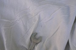 画像13: COORS LIGHT THE SILVER BULLET OFFICIAL VTG STADIUM JACKET NAVY L