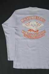 HARLEY DAVIDSON ROCKY MOUNTAIN SKULL VTG HENLEY NECKLINE LONG SLEEVE T-SHIRT LIGHT GRAY L