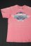 画像1: 1991 HARLEY DAVIDSON EAGLE LOGO VTG T-SHIRT PINK M (1)