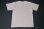 画像5: SIXHELMETS MC "IN MEMORY OF FALLEN BROTERS" T-SHIRT LIGHT PINK (5)