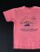 画像1: 80s 17th WABASH VALLEY STREET SCENE VTG T-SHIRT  PINK L (1)