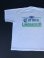 画像1: 90s CORONA LIMEBACKER VTG T-SHIRT WHITE XL (1)