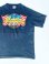 画像1: INDIAN MOTORCYCLE OFFICIAL VTG T-SHIRT M (1)