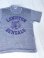 画像1: LEWISTON BENGALS VTG T-SHIRT HEATHER GRAY M (1)