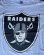 画像3: 1995 NFL OAKLAND RAIDERS  VTG T-SHIRT  GRAY XL