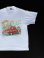 画像1: COUNTRY CRUZIN VTG T-SHIRT WHITE L  (1)