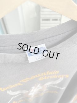 画像5: 80s ROCKY MOUNTAIN STROKERS HOME OF THE BIG BALL MOTORS “HOWG WILD”VTG T-SHIRT CHARCOAL L