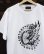 画像1: SIXHELMETS CHOPPERS FLYING WHEEL T-SHIRT WHITE DRAWN BY BOULEVARD FEVER ART (1)