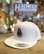 画像1: SIXHELMETS FLYING WHEEL MESH CAP WHITE (1)