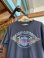 画像4: 1995 HARLEY DAVIDSON AMERICAN BAR&SHIELD WING LOGO T-SHIRT M