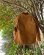 画像2: NOS 80s-90s CARHARTT CHORE COAT CORDUROY COLLAR MADE IN USA 46