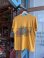 画像2: VINTAGE 1972 PRIMO BEER T-SHIRT L