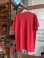 画像2: 90s NFL SAN FRANCISCO 49ERS T-SHIRT XL