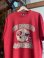 画像4: 90s NFL SAN FRANCISCO 49ERS T-SHIRT XL