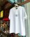 画像2: SIXHELMETS CHOPPERS ROSA T-SHIRT DRAWN BY BOULEVARD FEVER ART  WHITE