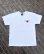 画像3: SIXHELMETS CHOPPERS “MI VIDA LOCA” T-SHIRT DRAWN BY BOULEVARD FEVER ART WHITE (3)