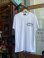 画像2: SIXHELMETS CHOPPERS T-SHIRT DRAWN BY POTS DESIGN WHITE (2)