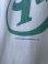 画像5: 1995 ALLMAN BROTHERS BAND T-SHIRT L