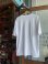 画像2: 1995 ALLMAN BROTHERS BAND T-SHIRT L