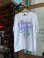 画像1: 1995 ALLMAN BROTHERS BAND T-SHIRT L (1)