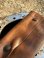 画像2: VINTAGE 70s HARLEY DAVIDSON BAR&SHIELD WING LOGO LETHER WALLET (2)