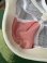 画像4: VINTAGE COCA COLA COKE MESH CAP (4)