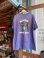 画像2: 1994 HARLEY DAVIDSON WING LOGO T-SHIRT L