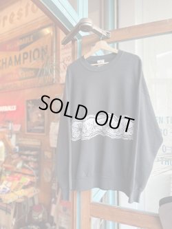 画像1: SIXHELMETS TARANTULA VTG SWEATSHIRT 3XL