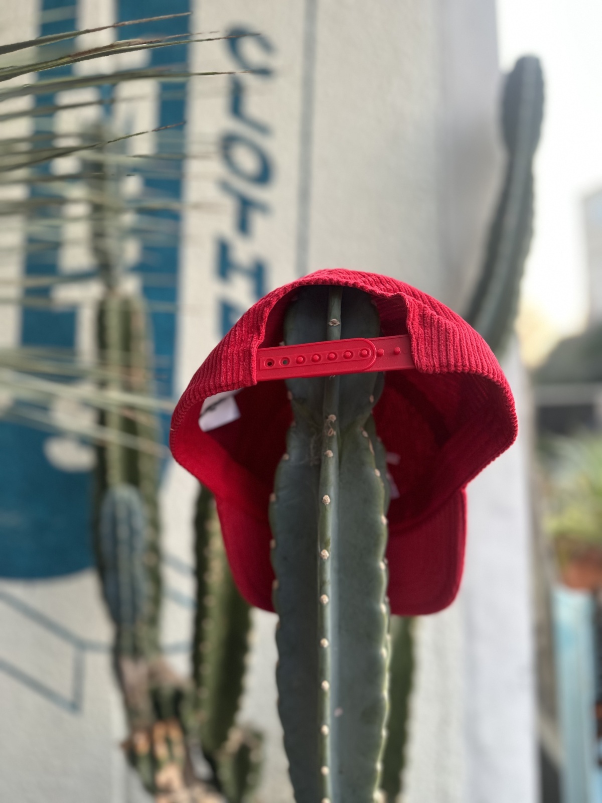 PABST BLUE RIBBON BEER RACING TEAM CORDUROY CAP RED - sixhelmets ...