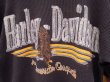 画像5: HARLEY DAVIDSON THERMAL LONG SLEEVE T-SHIRT (1)