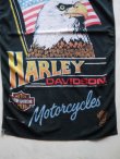 画像5: 1985 HARLEY DAVIDSON MOTOR CYCLES BORN IN THE U.S.A. VTG BIG TOWEL