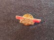 画像1: WINGED HARLEY DAVIDSON PINS