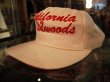 画像2: CALIFORNIA REDWOODS VTG MESH CAP WHITE