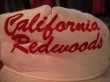 画像3: CALIFORNIA REDWOODS VTG MESH CAP WHITE