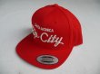 画像1: RIP CITY SKATES SNAPBACK CAP RED×SILVER