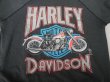 画像3: HARLEYDAVIDSON OFFICIAL PAN HEAD VTG SWEATSHIRTS BLACK L