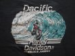 画像3: HARLEYDAVIDSON PACIFIC HONOLULU,HAWAII OFFICIAL VTG T-SHIRT BLACK L