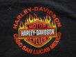 画像7: HARLEYDAVIDSON CABO SAN LUCAS MEXICO OFFICIAL VTG T-SHIRT BLACK XL