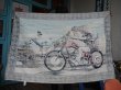 画像8: DAVID MANN VTG TAPESTRY GHOST RIDER EASY RIDERS　(2)