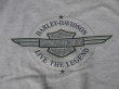 画像7: HARLEYDAVIDSON LIVE THE LEGEND OFFICIAL VTG SWEATSHIRTS MARBLED GRAY×GREEN 