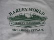 画像3: HARLEYDAVIDSON LIVE THE LEGEND OFFICIAL VTG SWEATSHIRTS MARBLED GRAY×GREEN 